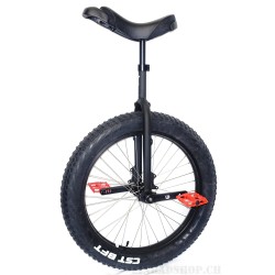 120 Bigfoot 24 Zoll FAT Einrad (CH)