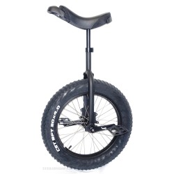 120 CrMonster Fatty 20 Zoll (CH)